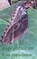 lege gedachten, natascha van diepen emmah - Paperback - 9789461938787