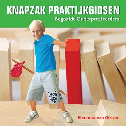 Begaafde Onderpresteerders, Eleonoor van Gerven - Paperback - 9789461938879