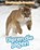 Dieren die jagen, Angela Royston - Gebonden - 9789462021693