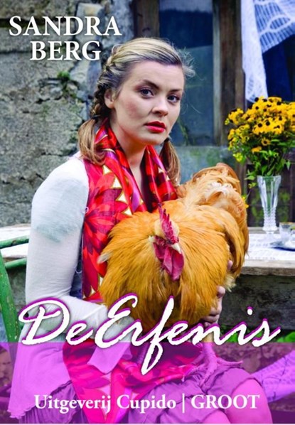 De erfenis, Sandra Berg - Ebook - 9789462040212