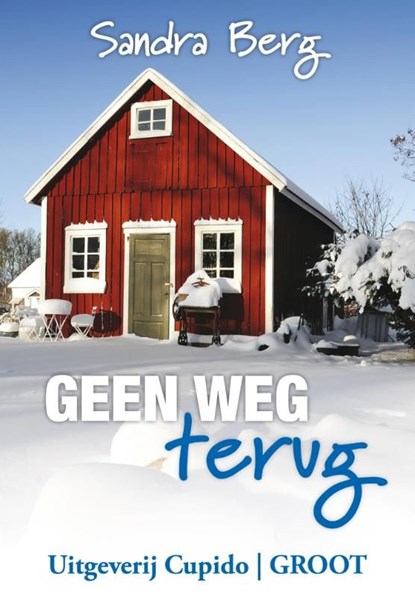 Geen weg terug, Sandra Berg - Ebook - 9789462040229