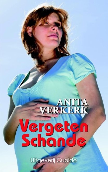 Vergeten schande, Anita Verkerk - Ebook - 9789462040250