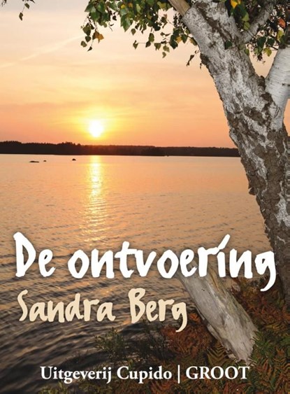 De ontvoering, Sandra Berg - Ebook - 9789462040267