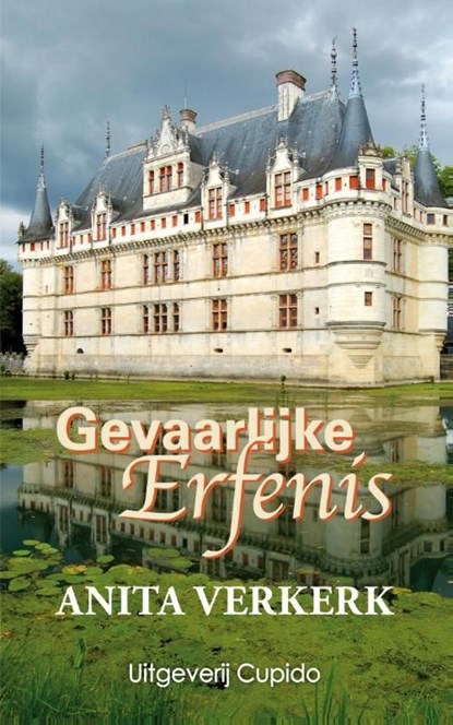 Gevaarlijke erfenis, Anita Verkerk - Ebook - 9789462040281