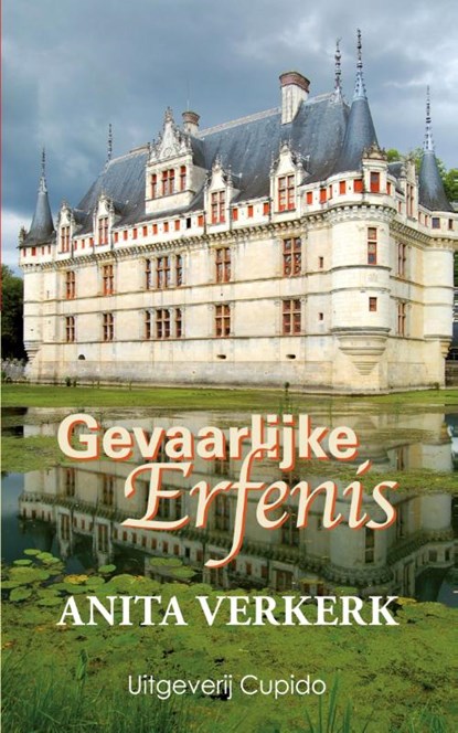 Gevaarlijke erfenis, Anita Verkerk - Paperback - 9789462041127