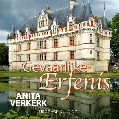 Gevaarlijke erfenis, Anita Verkerk - Luisterboek MP3 - 9789462042759