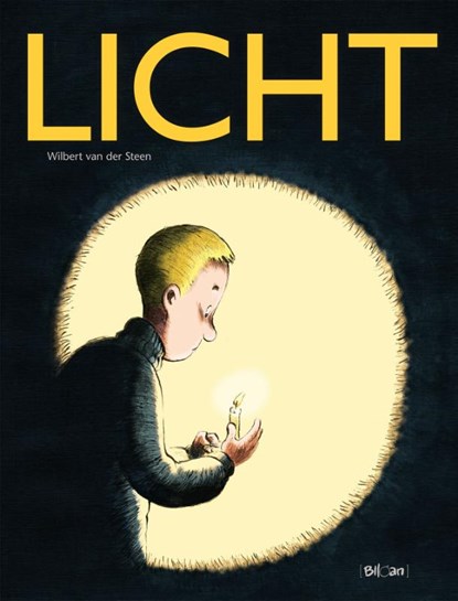 Licht, Wilbert van der Steen - Gebonden - 9789462107564