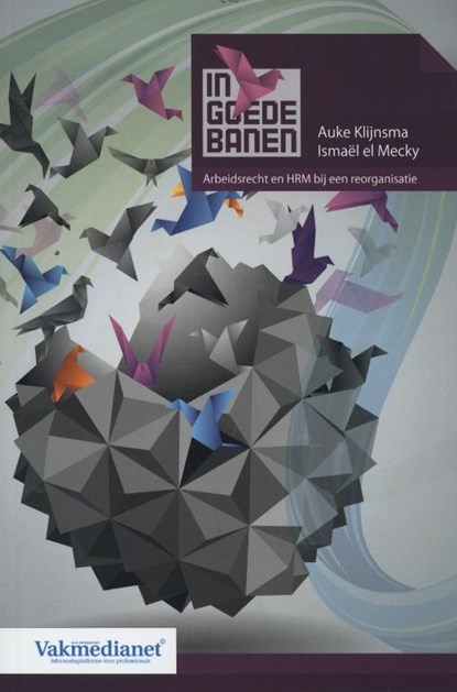 In goede banen, Auke Klijnsma ; Ismaël el Mecky - Paperback - 9789462150119