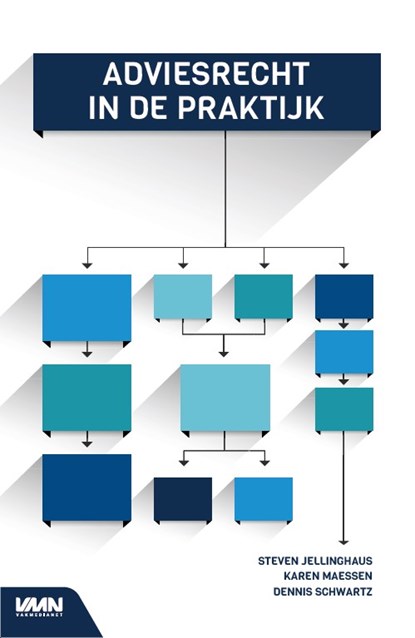 Adviesrecht in de praktijk, Steven Jellinghaus ; Karen Maessen ; Dennis Schwartz - Paperback - 9789462156876