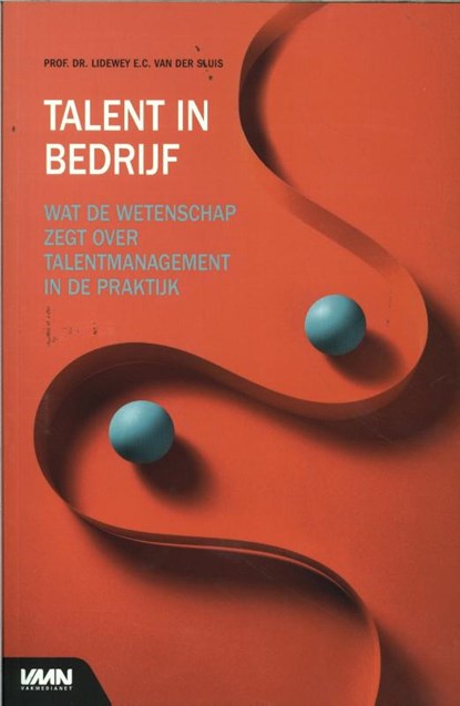 Talent in bedrijf, Lidewey van der Sluis - Paperback - 9789462157316