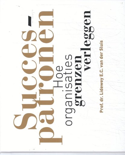 Succespatronen, Lidewey van der Sluis - Paperback - 9789462158047