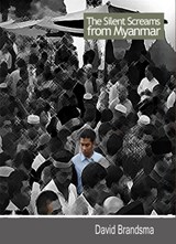 The silent screams from Myanmar - David Brandsma - 9789462170384