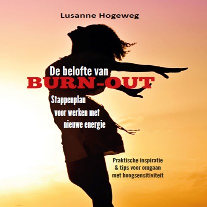 De belofte van burn-out, Lusanne Hogeweg - Luisterboek MP3 - 9789462171701