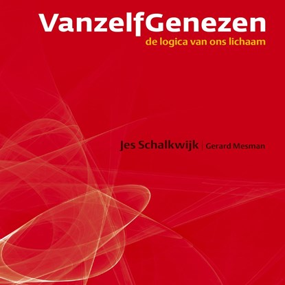 Vanzelf Genezen, Jes Schalkwijk ; Gerard Mesman - Luisterboek MP3 - 9789462172029
