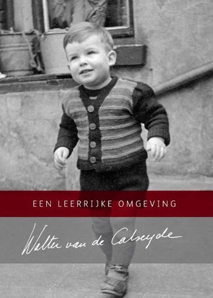 Een leerrijke omgeving, Walter van de Calseyde - Ebook - 9789462175808