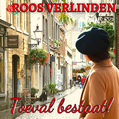 Toeval bestaat!, Roos Verlinden - Luisterboek MP3 - 9789462176065