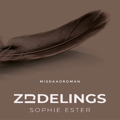 Zijdelings, Sophie Ester - Luisterboek MP3 - 9789462176324