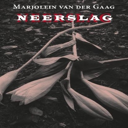 Neerslag, Marjolein van der Gaag - Luisterboek MP3 - 9789462176713