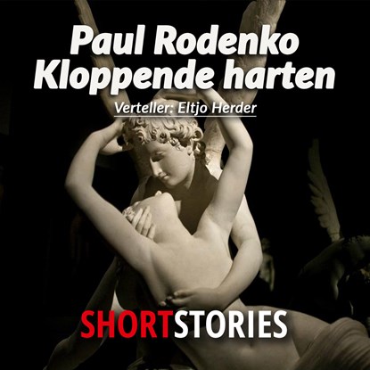 Kloppende harten, Paul Rodenko - Luisterboek MP3 - 9789462177635