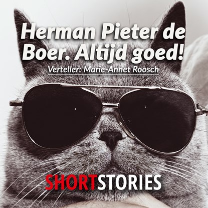Altijd goed, Herman Pieter de Boer - Luisterboek MP3 - 9789462177802