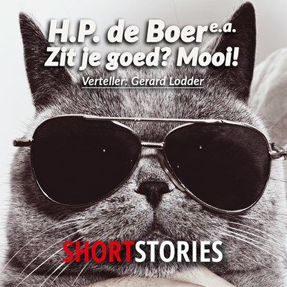 Zit je goed? Mooi!, Herman Pieter de Boer - Luisterboek MP3 - 9789462178007