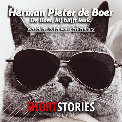De Boer, hij blijft leuk, Herman Pieter de Boer - Luisterboek MP3 - 9789462178731
