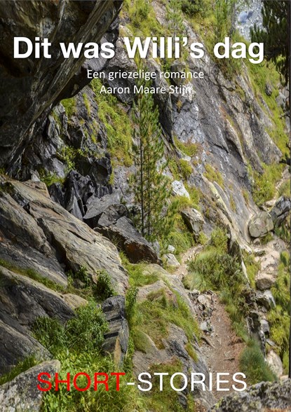 Dit was Willi's dag, Aaron Maare Stijn - Ebook - 9789462179721