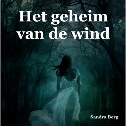 Het geheim van de wind, Sandra Berg - Luisterboek MP3 - 9789462179769