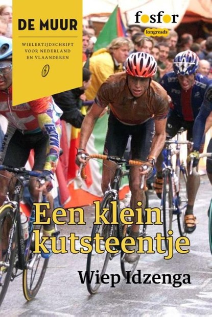 Een klein kutsteentje, Wiep Idzenga - Ebook - 9789462251250