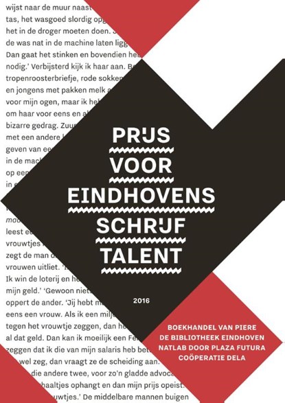 Prijs voor Eindhovens schrijftalent 2016, Merel Morre - Paperback - 9789462262089