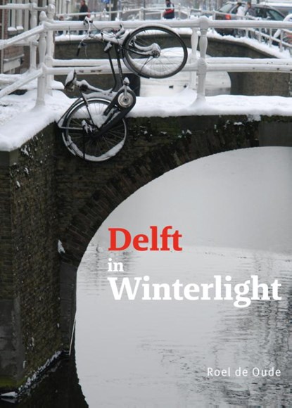 Delft in Winterlight, Roel de Oude - Gebonden - 9789462264953