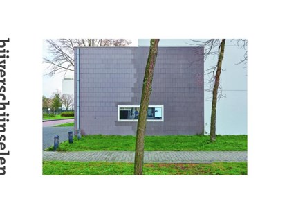 Bijverschijnselen, Kaai Allard ; A.L. Snijders ; Hoexum Pieter - Gebonden - 9789462265172