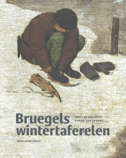 Bruegels wintertaferelen, Tine Luk Meganck ; Sabine van Sprang - Gebonden - 9789462302211
