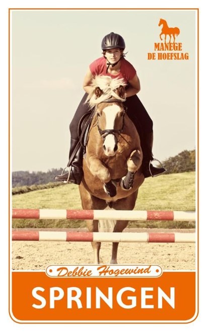 Springen, Debby Hogewind - Ebook - 9789462320567