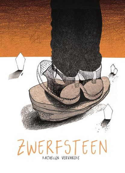 Zwerfsteen, Vervarcke Kathelijn - Gebonden - 9789462345317