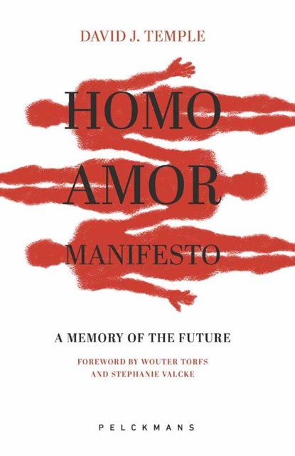 Homo Amor Manifesto, David J. Temple ; Zachary Stein ; Marc Gafni ; Ken Wilbur - Paperback - 9789462348264