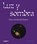 Luz y Sombra. Goya and Spanish realism, Europalia - Gebonden - 9789462348288