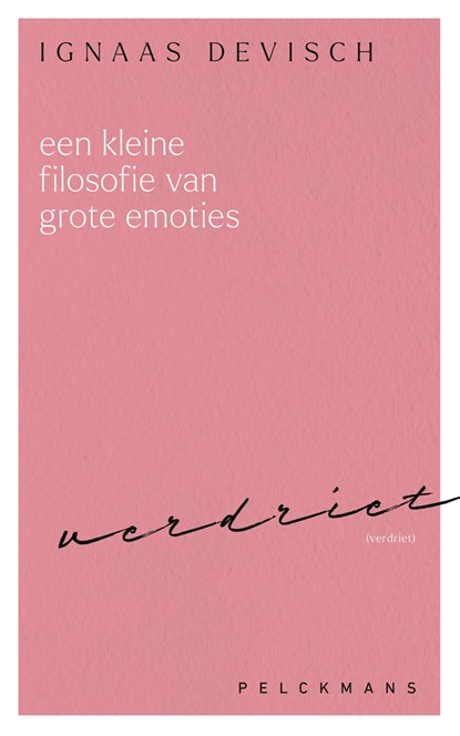 Een kleine filosofie van grote emoties: Verdriet, Ignaas Devisch - Ebook - 9789462349773