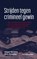 Strijden tegen crimineel gewin, Caspar Hermans ; Hans Boutellier - Paperback - 9789462363380