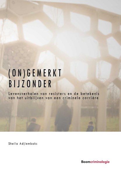 (On)gemerkt bijzonder, Sheila Adjiembaks - Paperback - 9789462368620