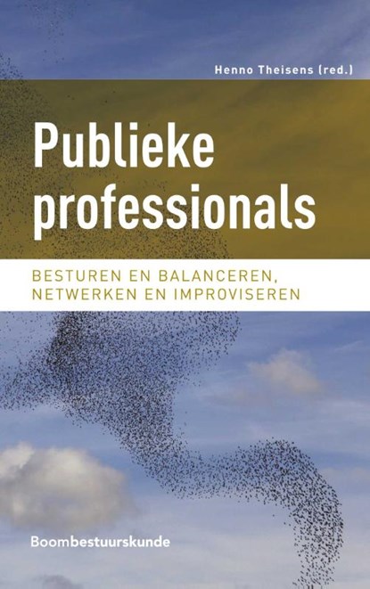 Publieke professionals, Henno Theisens - Paperback - 9789462368736