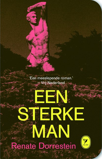 Een sterke man, Renate Dorrestein - Ebook - 9789462370814