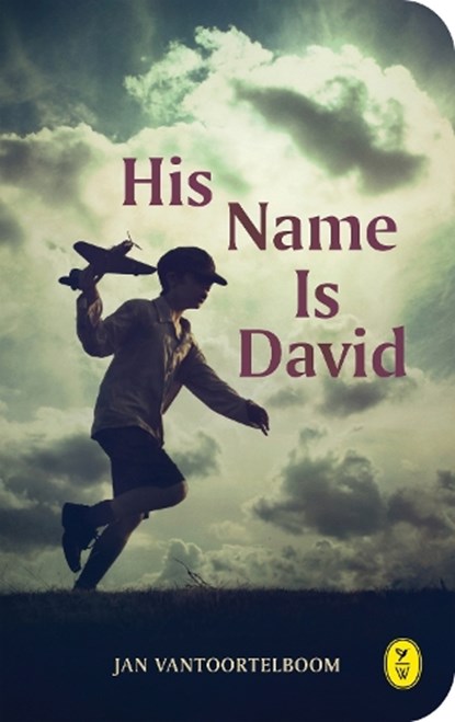 His name is David, Jan Vantoortelboom - Paperback - 9789462380714