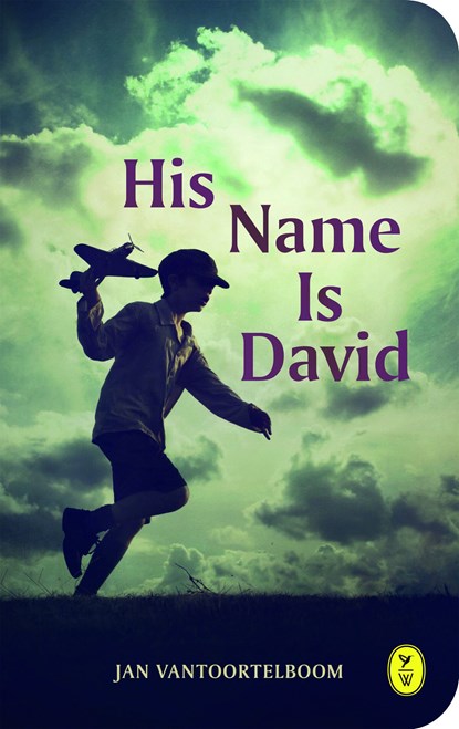 His name is David, Jan Vantoortelboom - Ebook - 9789462380721
