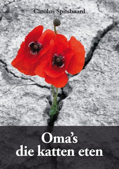 Oma's die katten eten, Carolus Spitsbaard - Paperback - 9789462473317