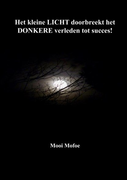 Het kleine LICHT doorbreekt het DONKERE verleden tot succes!, Wilma Dijon - Paperback - 9789462473690