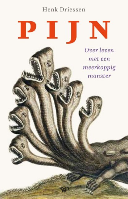 Pijn, Henk Driessen - Paperback - 9789462497030