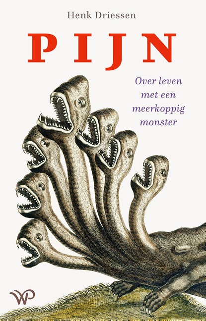 Pijn, Henk Driessen - Ebook - 9789462497047