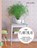 het plantenlab, Judith Baehner - Paperback - 9789462500549
