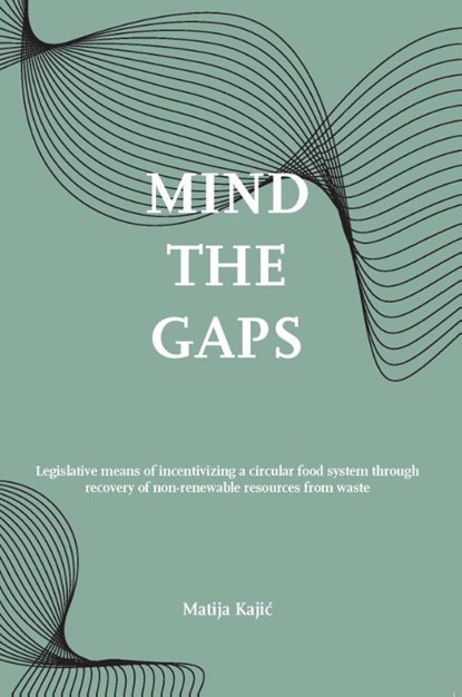Mind the gaps!, Matija Kajić - Paperback - 9789462513433